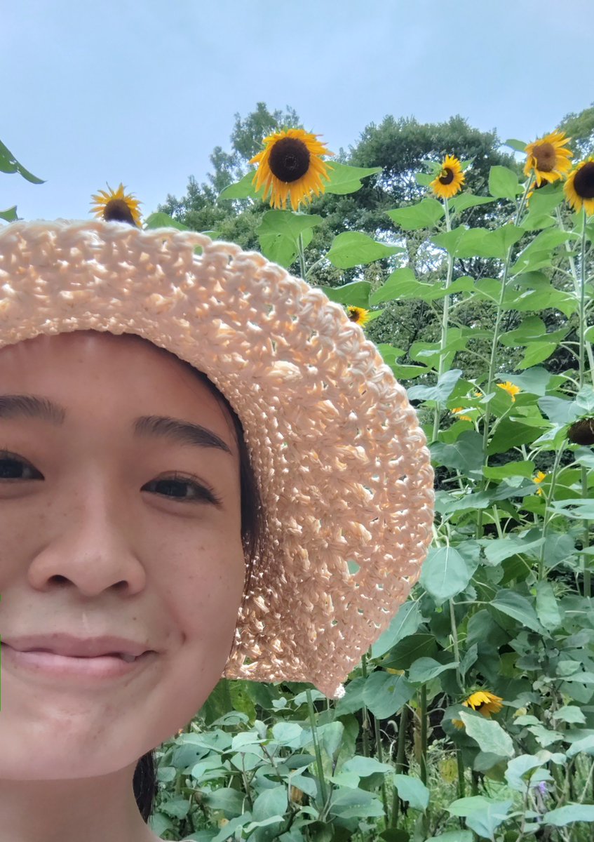 poppy_moanan's tweet photo. 板橋区→中野区で力尽きました。海が見たかった〜でもくたびれたひまわりと秋の花たちに会えたので、まる🙆 https://t.co/cWALuezkrd