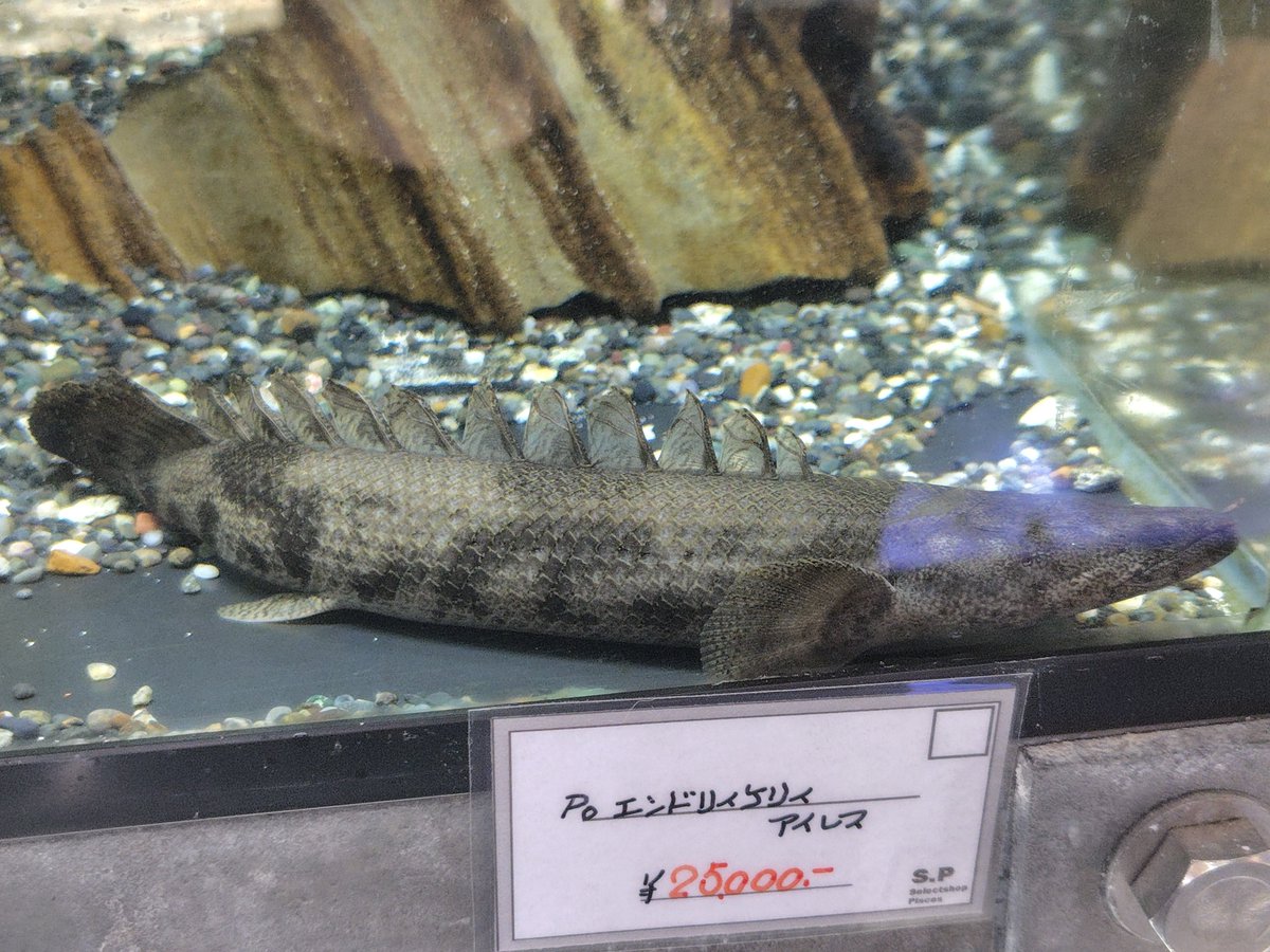 S_Pisces2026's tweet photo. https://t.co/4gbjRGWwjE