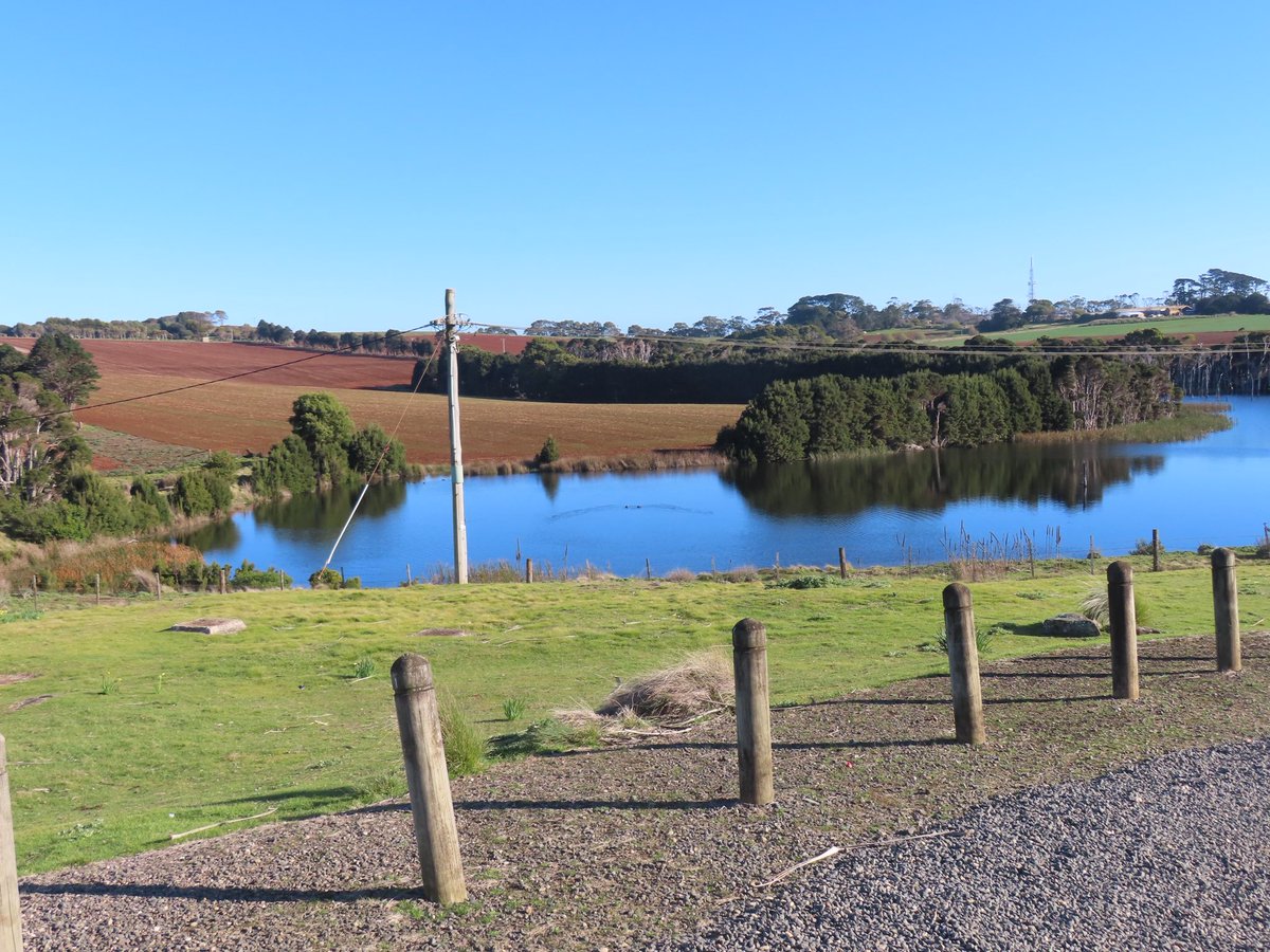 wapple15's tweet photo. A #DuckReport from Table Cape TAS 🇦🇺this afternoon. 🦆🦆 https://t.co/2byz2g8jht