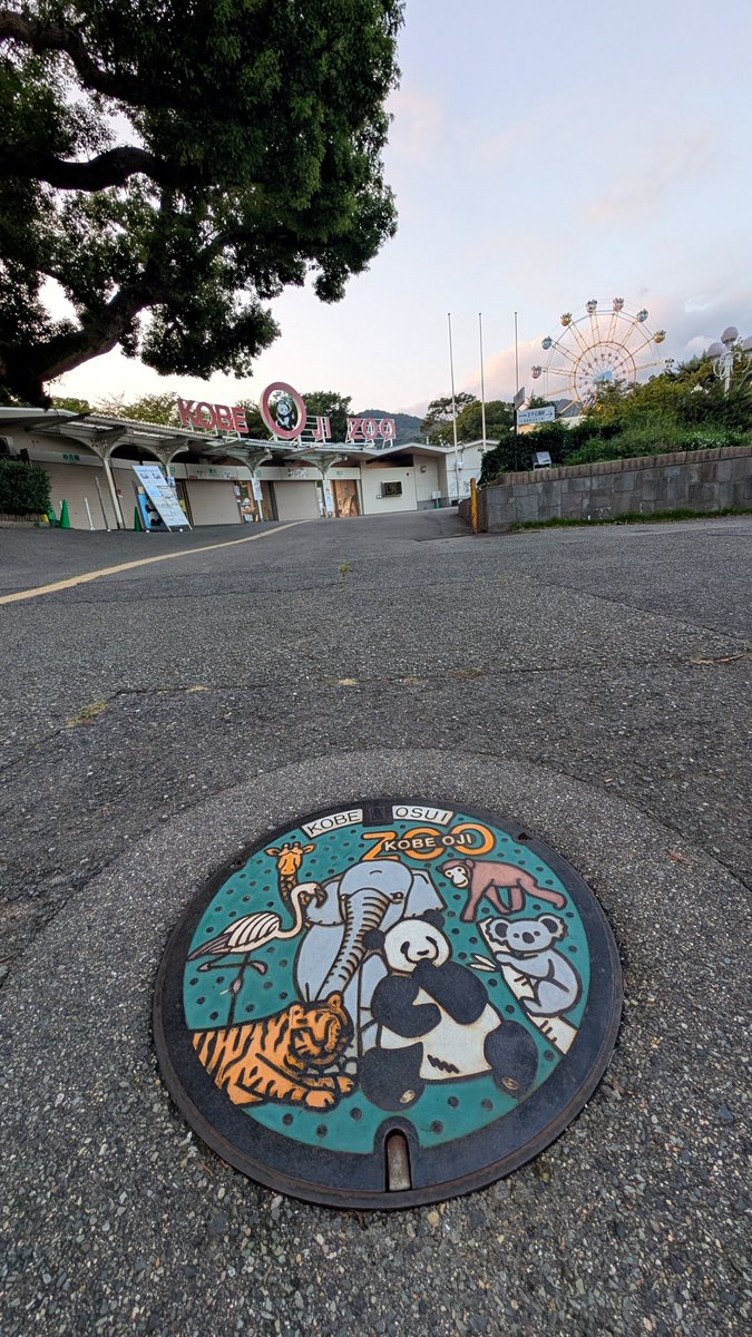 NewsBookBuzz's tweet photo. 神戸市Aの座標蓋、チェックインしました❗️
マンホールカードは過去に頂いていたので、今日は座標蓋ゲットまで👍️
三宮からゆっくり１時間歩いていたら残念ながら王子動物園の開演時間に間に合いませんでした☹️

#マンホールカード https://t.co/yhNbF8SMaj
