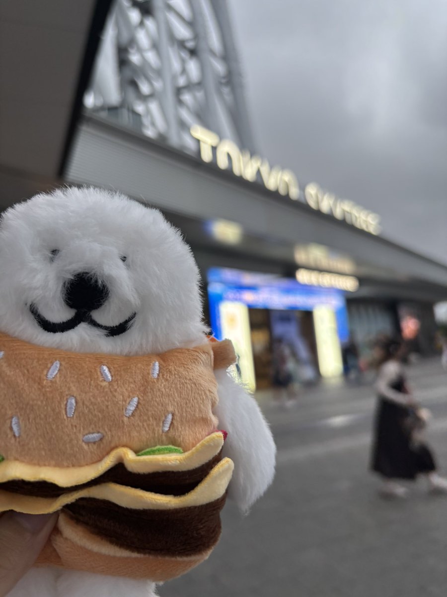 fuwawa_white's tweet photo. バーガー衣装
 #あざらしみたいな人間 https://t.co/vCV6FFKm2P