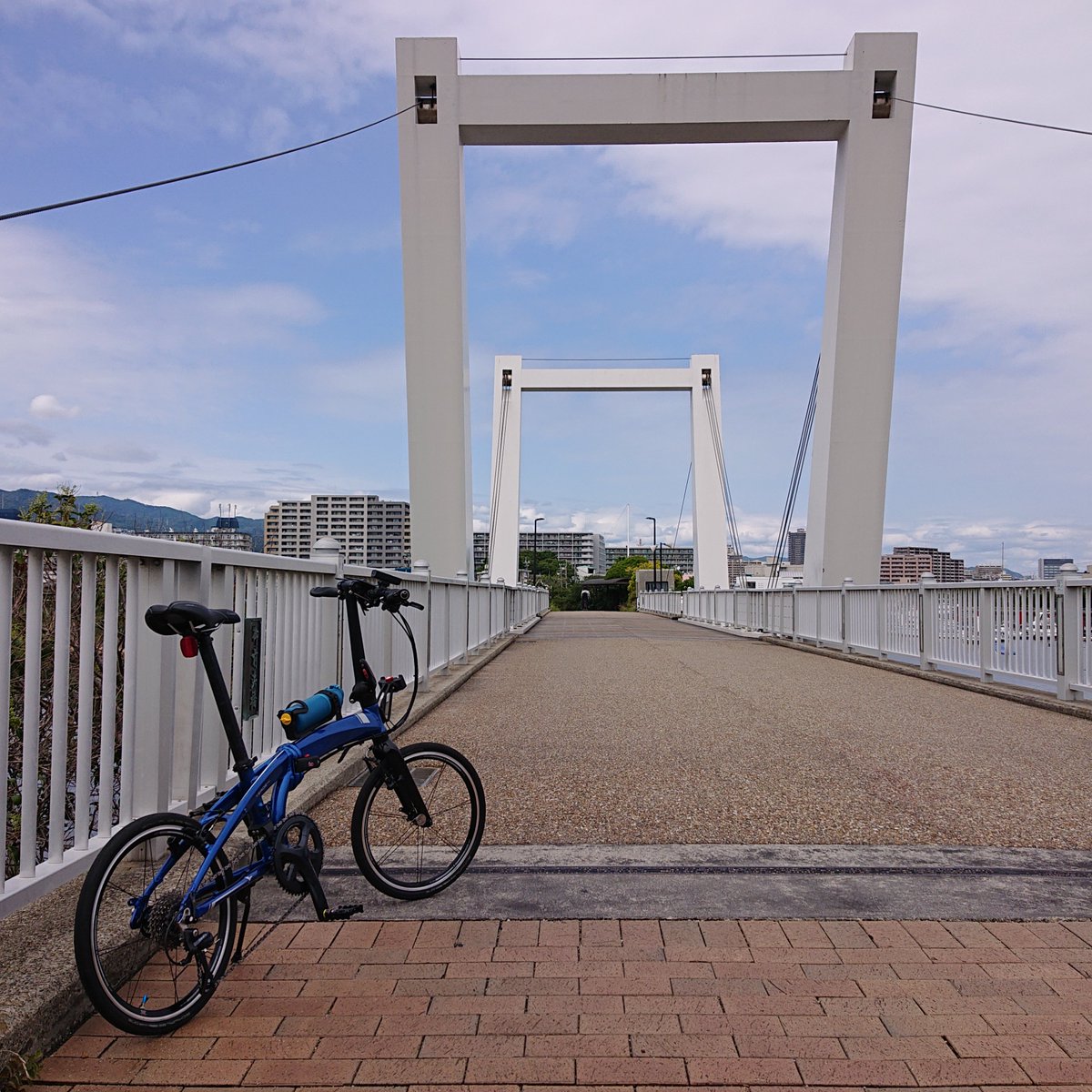 hazeworks's tweet photo. 行き先が決まらないけど乗りたいときは、とりあえず武庫川サイクリングロードを走って西宮浜へ行きがち。
今回もそんな感じでミニベロでのんびり走ってきました。

#VergeN8 #tern #ミニベロ https://t.co/HifBvSG3S9