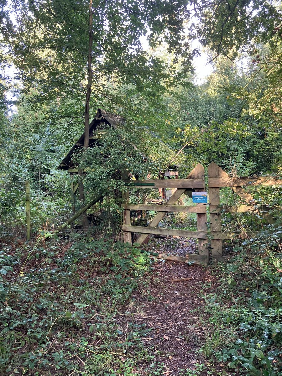 elsjonker's tweet photo. Rondje #Frieswijk met bosgroep 7 @avdaventria1906 - grote verschillen in tempo en toch lekker samen lopen (met de nodige natuurmomentjes) ❤️ https://t.co/GCSiKdJkW1
