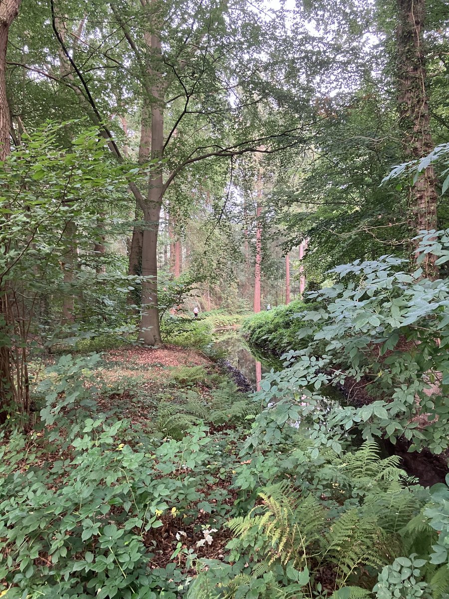 elsjonker's tweet photo. Rondje #Frieswijk met bosgroep 7 @avdaventria1906 - grote verschillen in tempo en toch lekker samen lopen (met de nodige natuurmomentjes) ❤️ https://t.co/GCSiKdJkW1