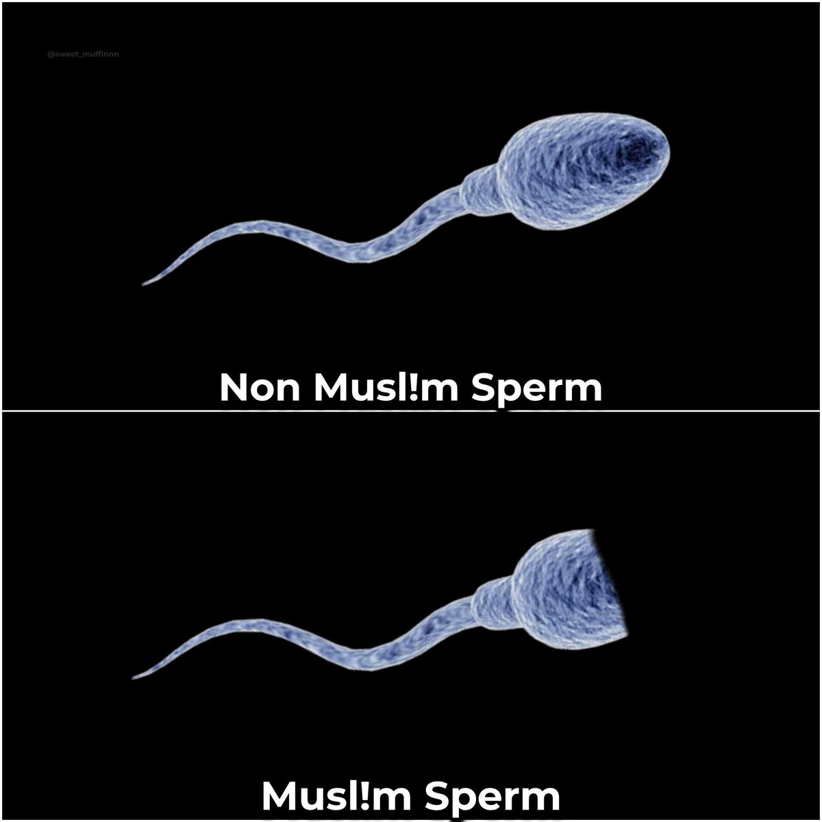 sweet_muffinnn's tweet photo. 🤣🤣 https://t.co/I24ussYFLY
