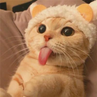 Krish18671151's tweet photo. 🌂 👑 🔥 🎁 🍁 Tasted escamoles ants, fats fatty and fine. Mexican meals. https://t.co/75QnDvSKME