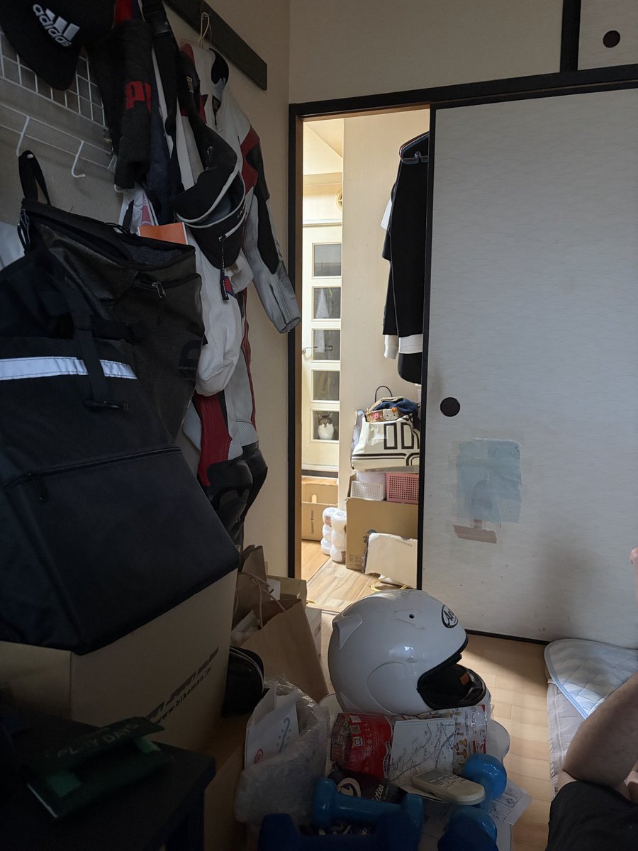 kakerun0510's tweet photo. めっちゃ見られてた https://t.co/flf5Ydhqt1