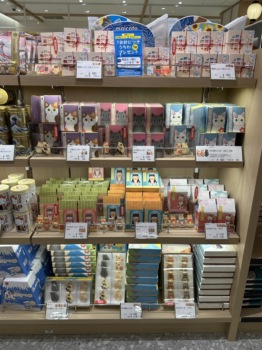 mai_co_to's tweet photo. 【販売店情報】
こちらは、京都駅地下一階ポルタ内にある「おみやげ街道　きょうこのみ店」さまです。
今年の7月8日にリニューアルオープンされた、デジタルサイネージが瞬くお土産ショップです🏮
開店時からお取り扱いいただいております！
市営地下鉄の改札からも近いので、是非お越しください🐈 https://t.co/NT8zL0fwMh