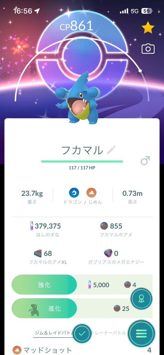 pokemopokeka's tweet photo. フカマルのコミュデイやりました🫰 https://t.co/kD6RPMsWon