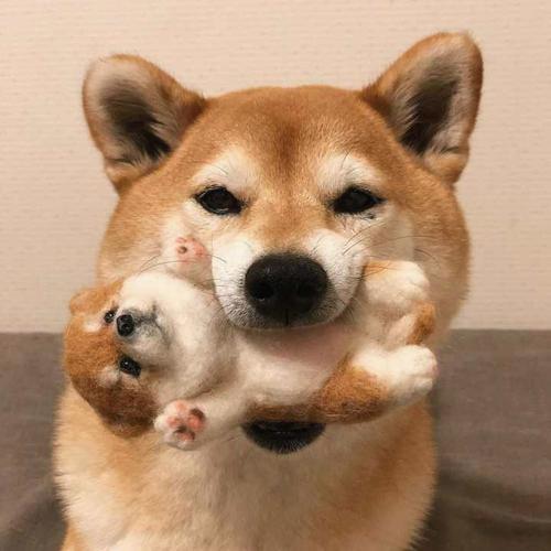 Crystal74617282's tweet photo. 🎌 🚩 🚀 🌞 🔥 💐 Why is my phone storage full? https://t.co/7HUjdKwZlW