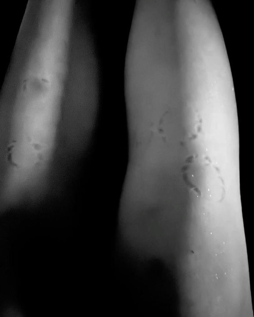 veilbur's tweet photo. “Shh, I’m sorry.. I didn’t mean to bite so hard. I know, I know. I’ll make it up to you.” He mumbled, tracing over the bite marks softly. 

“I can’t help myself, you just look so perfect with them.” https://t.co/u0TFbr4tQp