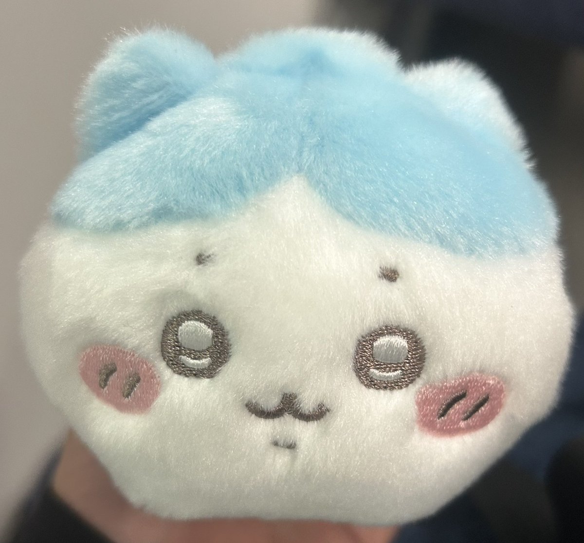 hachi_ware_to's tweet photo. 僕のベイビーハチちゃん☺️

やっぱちいかわとうさぎも揃えたいよなぁ🤔 https://t.co/DIuk9ensLd
