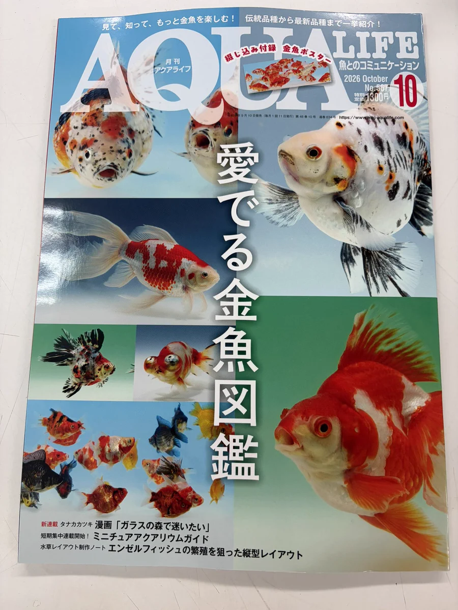 かねだい四街道店 on X: 