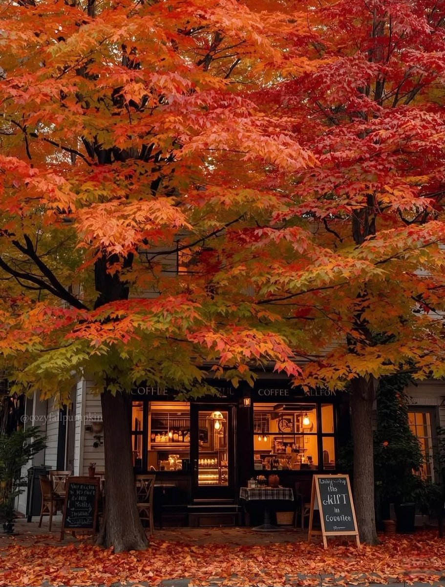reminiscinbby's tweet photo. fall season 🍂🍁 https://t.co/uiLLmrRxlI