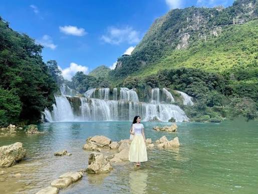 BoulosKathciro's tweet photo. 花畑の真ん中わんちゃん🌼🐕 https://t.co/ZANBl1Rqql