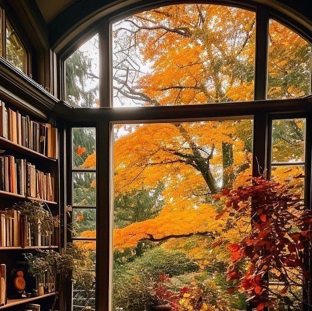 reminiscinbby's tweet photo. fall season 🍂🍁 https://t.co/uiLLmrRxlI