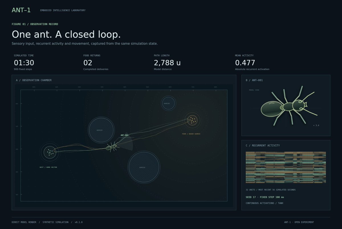 ashleyotooligan's tweet photo. I built ANT-1.

A simulated ant connected to a neural controller. Watch its activity, disrupt its senses, and see how its behaviour changes.

An open experiment in embodied intelligence.

https://t.co/Enum238PH1 https://t.co/n44v3Bnjdw
