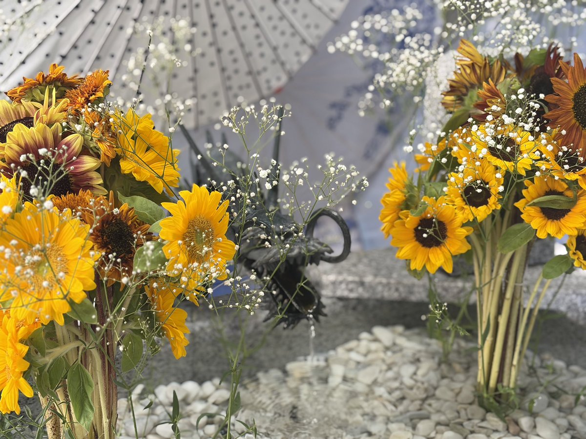 aoi__618's tweet photo. いつの間にか夏も終わり、
小さい夏を拾う学生最後の夏でした🌻 https://t.co/at5VUCU5YV