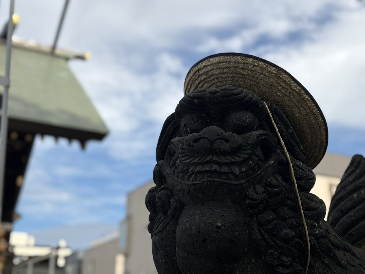 aoi__618's tweet photo. いつの間にか夏も終わり、
小さい夏を拾う学生最後の夏でした🌻 https://t.co/at5VUCU5YV