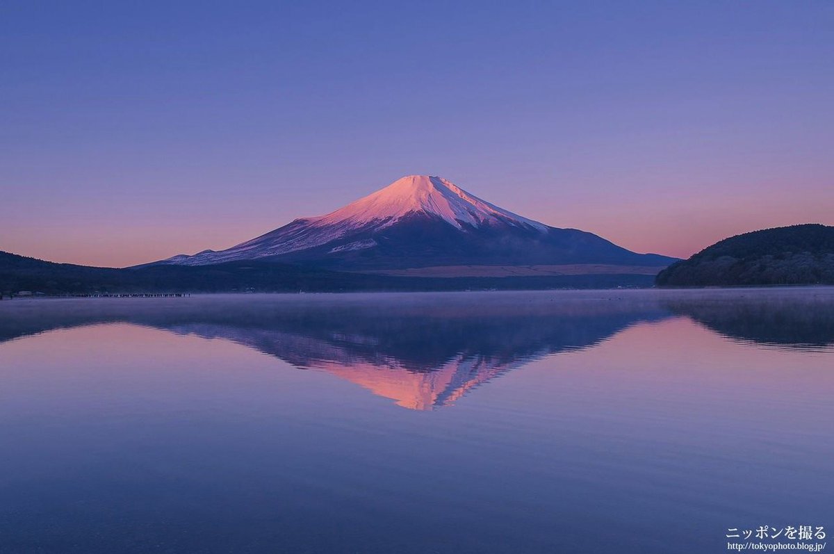 RaphaelSzok's tweet photo. 夕ごはん作ろうと思ったら
ついついSNSをチェック。
気付いたら、30分経ってた…！
共働きで忙しい日々だからこそ
小休憩も大切なんだけど
この時間の使い方、悩ましいな。 https://t.co/C0MUUIvqBB