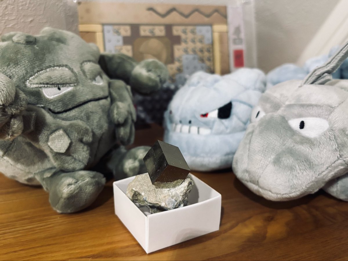 midorinohari's tweet photo. 念願の母岩付きパイライトお迎えなのです！！食べちゃダメダヨ…… https://t.co/uBLDzZkxxC