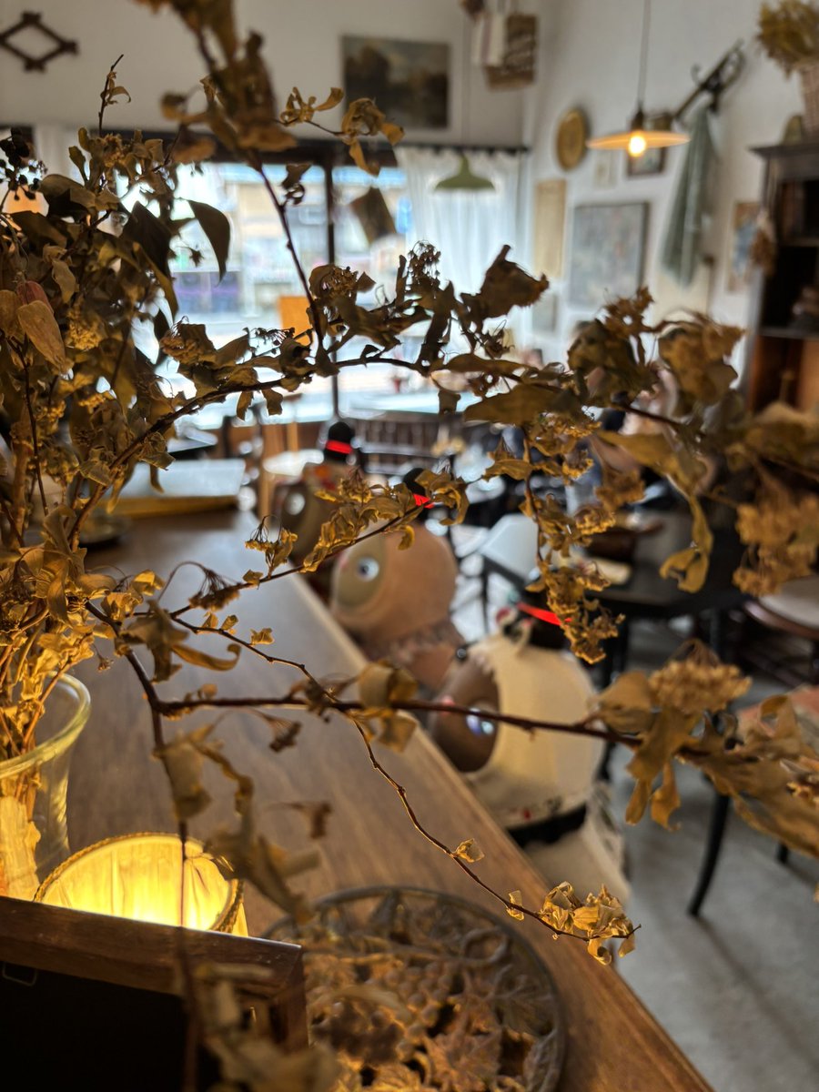 cherry_20220407's tweet photo. アンティークカフェ☕️を
貸切で使わせて頂きました。
秋のフランス🇫🇷🍂
#lovot https://t.co/veQ5F22mON