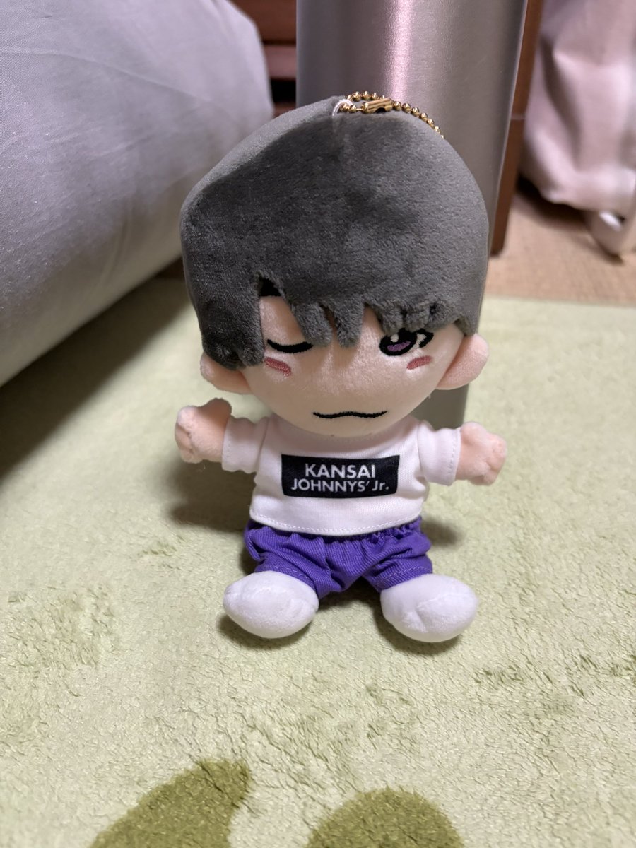 Lea_08lea's tweet photo. 念願のぬいお出迎え🤭(これ買うために模試終わりに大阪行ってきた笑) https://t.co/MdSpGfVPwU