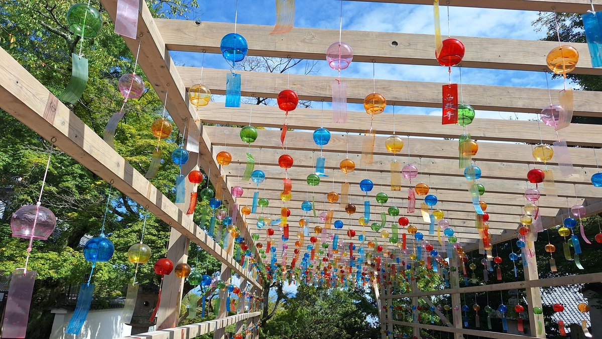 saesae6060's tweet photo. 久しぶりに晴れ☀️たので、大津まで。
西教寺。岡田准一君を見に(笑) https://t.co/9h2PZngRjs