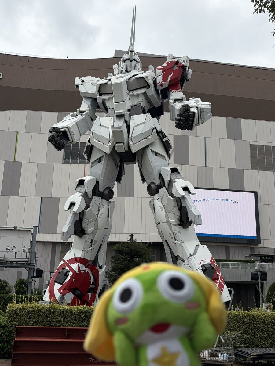 tokisiravy08's tweet photo. 小学生の頃リアタイしており、観なくなってしまったのですが、映画きっかけで再熱しました！
ぬい撮りがめちゃくちゃ多く、他の方のぬい撮りも見たいでーす！
グッズの協力もできます
気になった方無言フォローしまくります( ᐛ )و
 #ケロロ軍曹好きな人と繋がりたい
 #ケロロ軍曹好きと繋がりたい https://t.co/p78GLomZB6