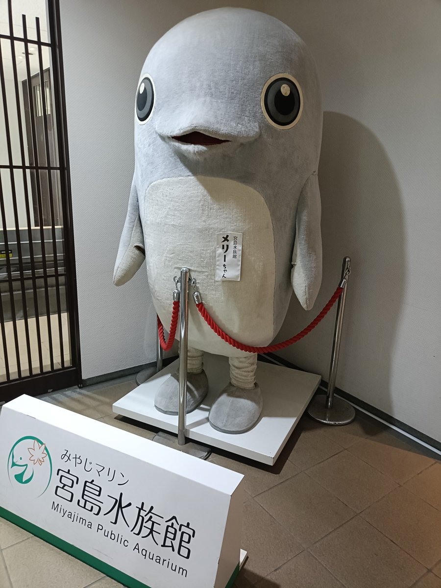 teikiteikiteiki's tweet photo. メリーちゃん https://t.co/IOdiNXdD2h