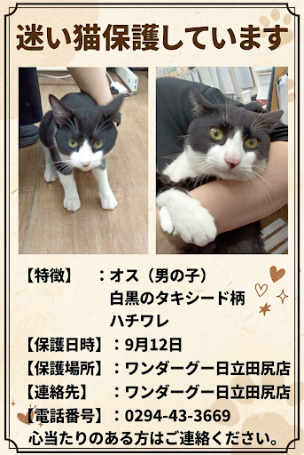 wg_htctajiri's tweet photo. https://t.co/ou9t9dDF1P