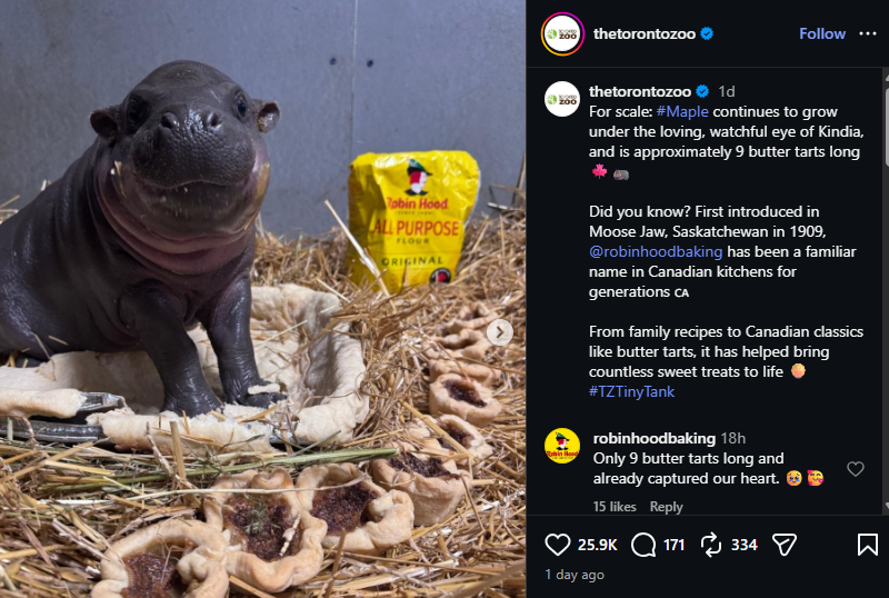 prottlegang11's tweet photo. Heres more lore:

Robinhood Baking also replied and reposted directly.

https://t.co/uNJ7I4XFym
https://t.co/t2rUPChq4j https://t.co/qM2kgBTUk6