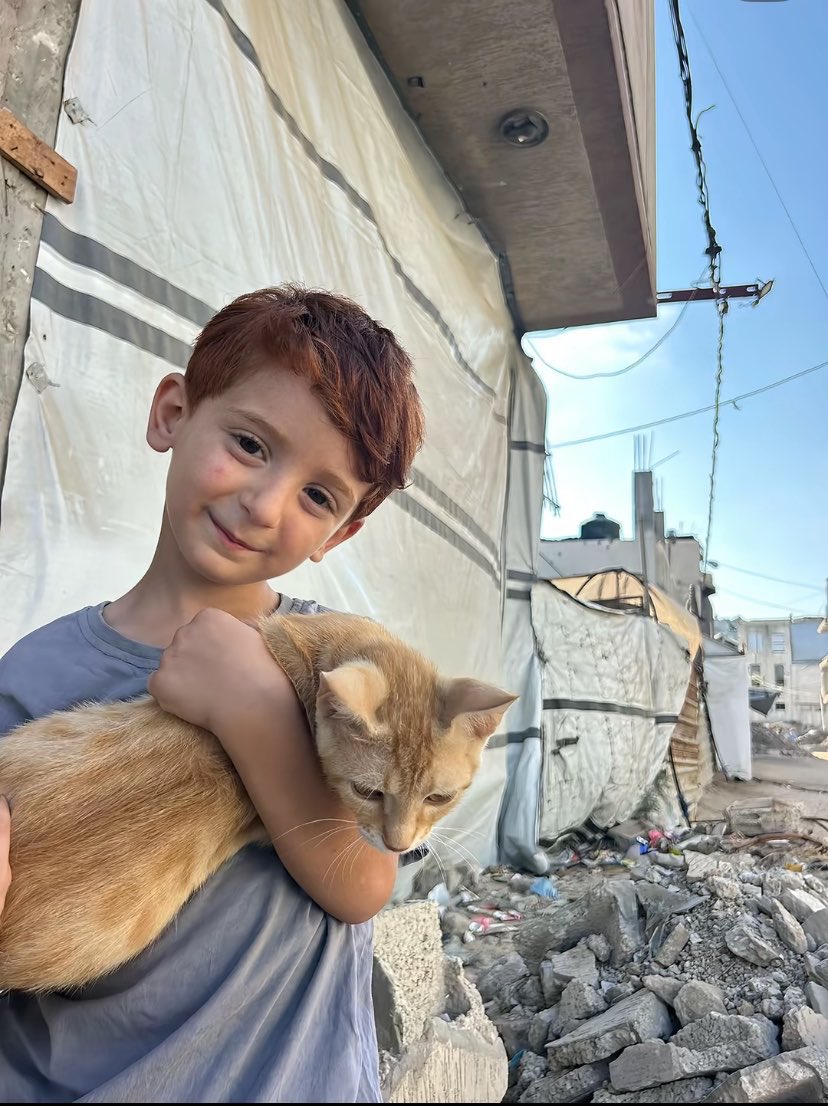 WarTechGlobal's tweet photo. Gazzede ki bir çocuğun kedisiyle birlikte paylaşımları viral oldu. https://t.co/ftnOfmR5J7