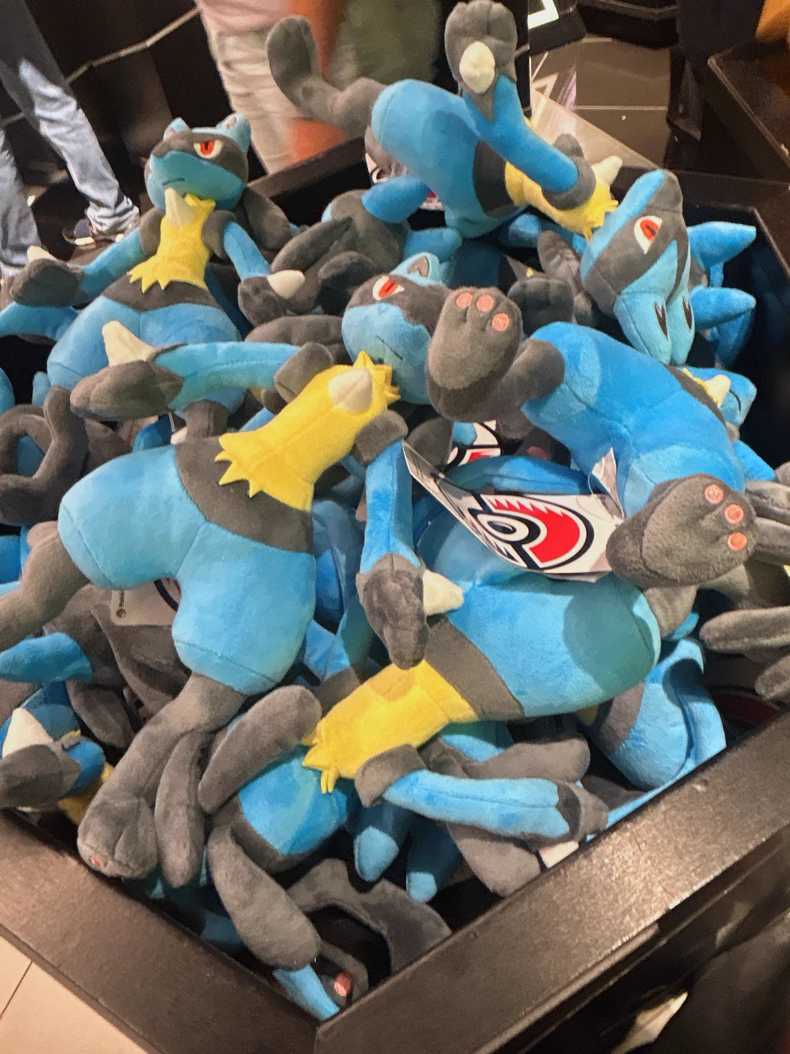 𝕃𝕌𝕂𝔸 🧢🌈✨ぬい収集癖🧸ポケモンとズートピアが生きがい on X