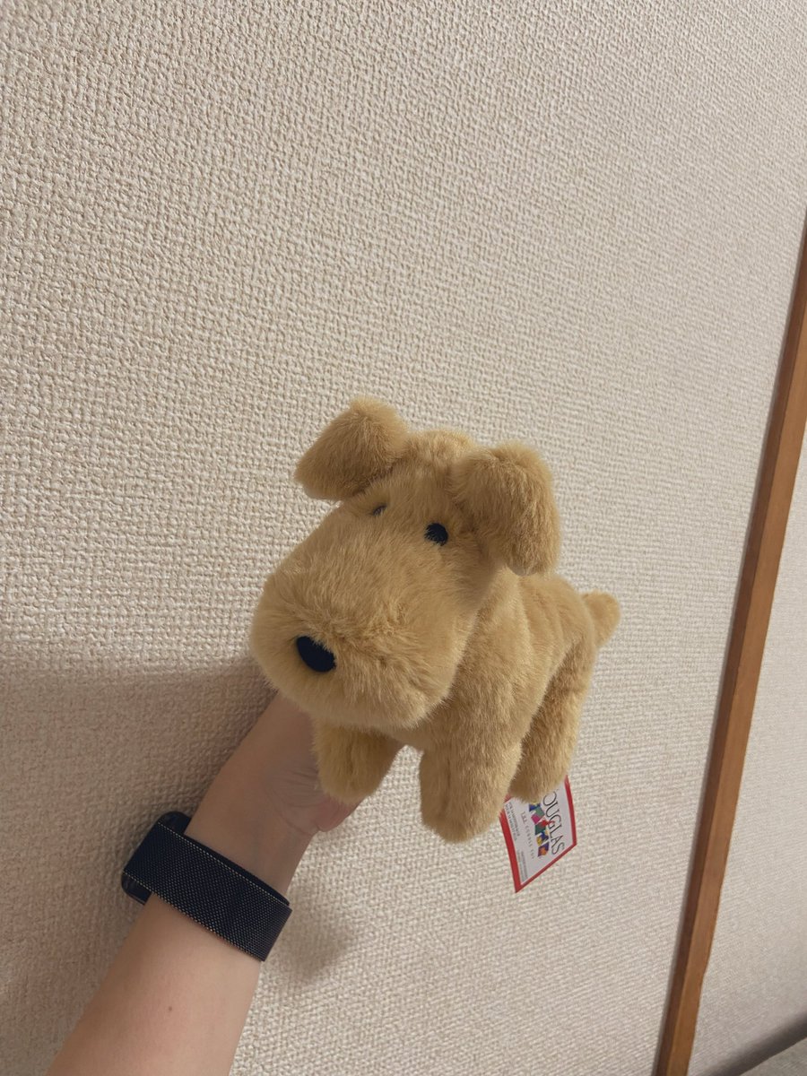 yawarakai_nui's tweet photo. かわいい犬を見つける天才かもしれない https://t.co/TDFEV5ay5I