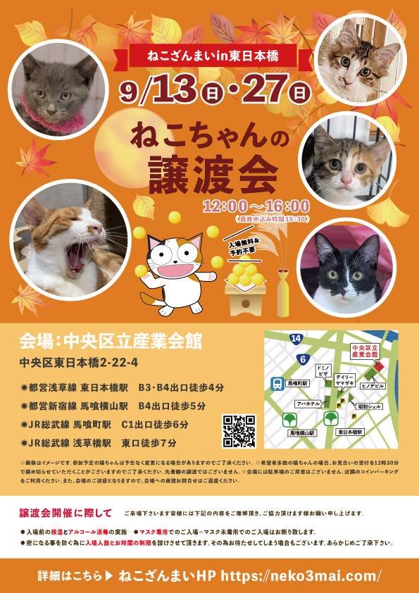 neko3mais's tweet photo. 明日9/13は、ねこざんまい譲渡会＠東日本橋を開催！約40匹の保護猫さんが参加します。価値観すら変わる“運命の出会い”があるかも？！
どうぞ可愛い子達に会いに来てくださいね☺

2026/9/13（日）12:00〜16:00
中央区東日本橋2-22-4
中央区立産業会館2階
💚予約不要💚
#ねこざんまい #保護猫譲渡会 https://t.co/1LBw62eNpR