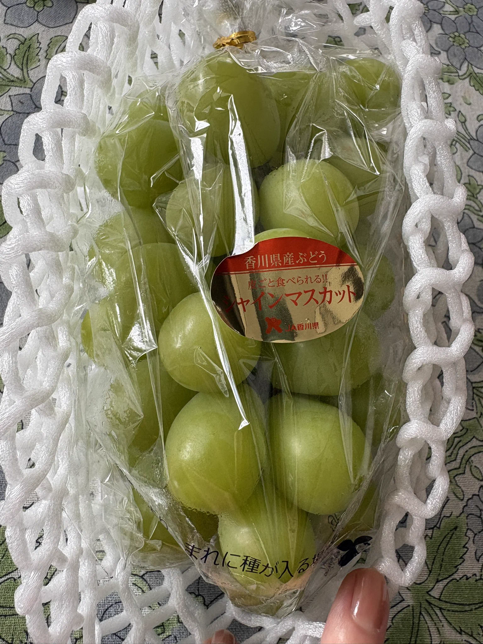 織守きょうや в X: „豪華なシャインマスカットをおすそわけでいただき