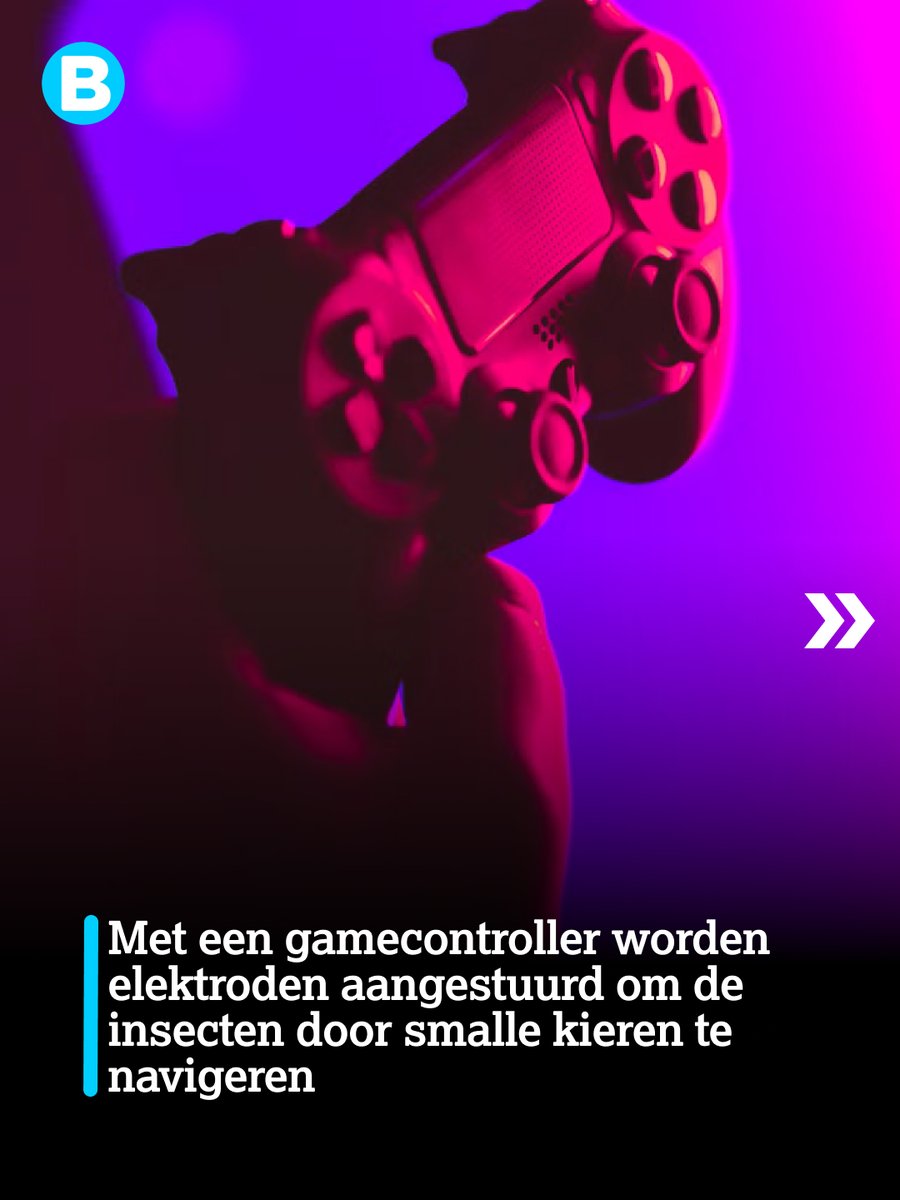 Bright's tweet photo. Australische onderzoekers bouwen reuzenkakkerlakken om tot bestuurbare cyborgs 🪳🩺

Weten hoe dat zit? Ga naar https://t.co/9MRhpnewy2! 👇

#Bright #TechNieuws #Cyborg #Robotics #Kakkerlak #Wetenschap #Tech #Nieuws #Gadgets https://t.co/pAhYGt2J13
