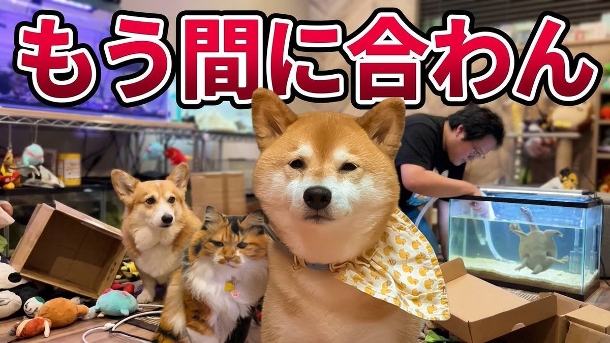 SteveFugudis's tweet photo. 現実逃避のRUNAWAY https://t.co/d7nsFI5bFU