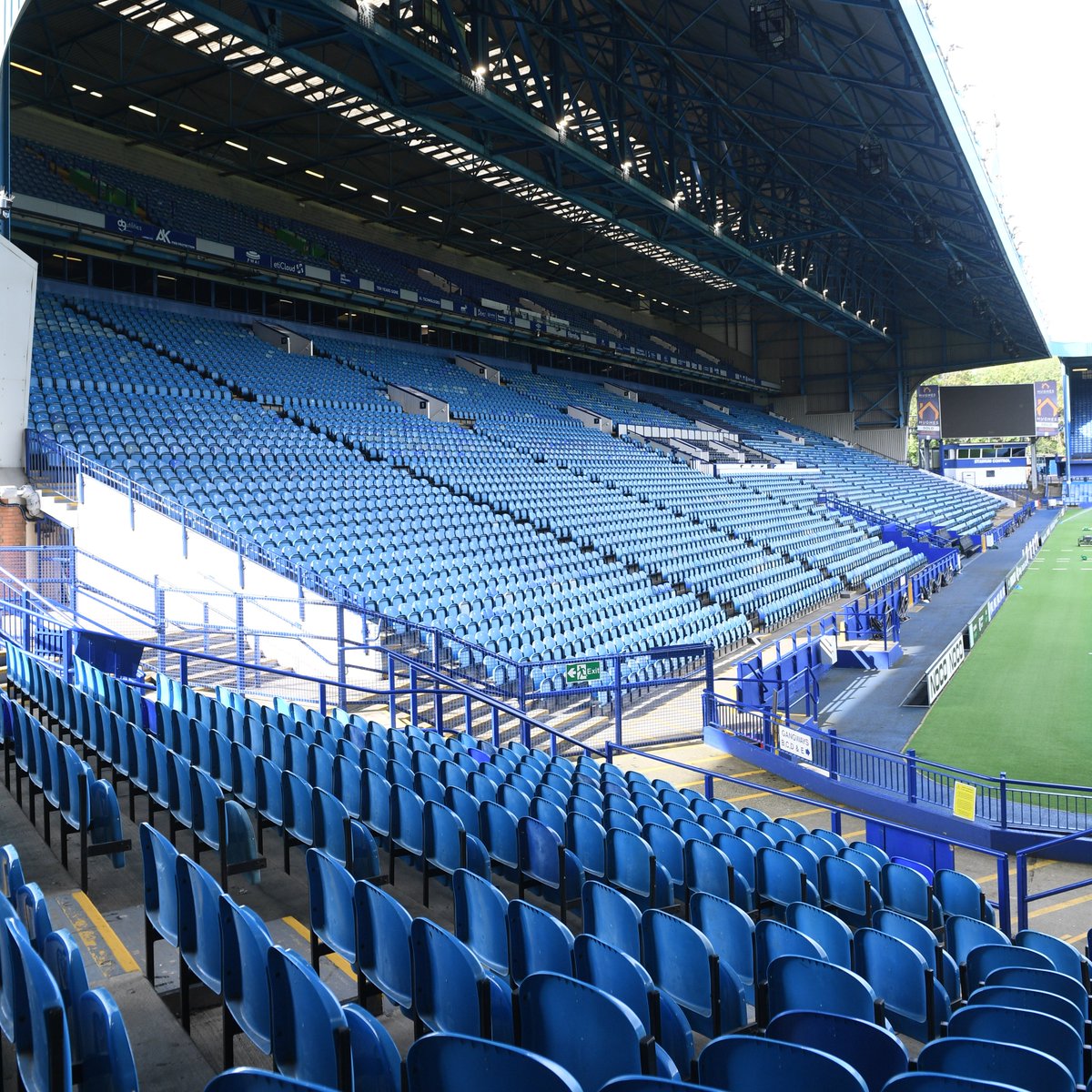 swfc's tweet photo. Home 😍🦉 https://t.co/u17lOylDcm