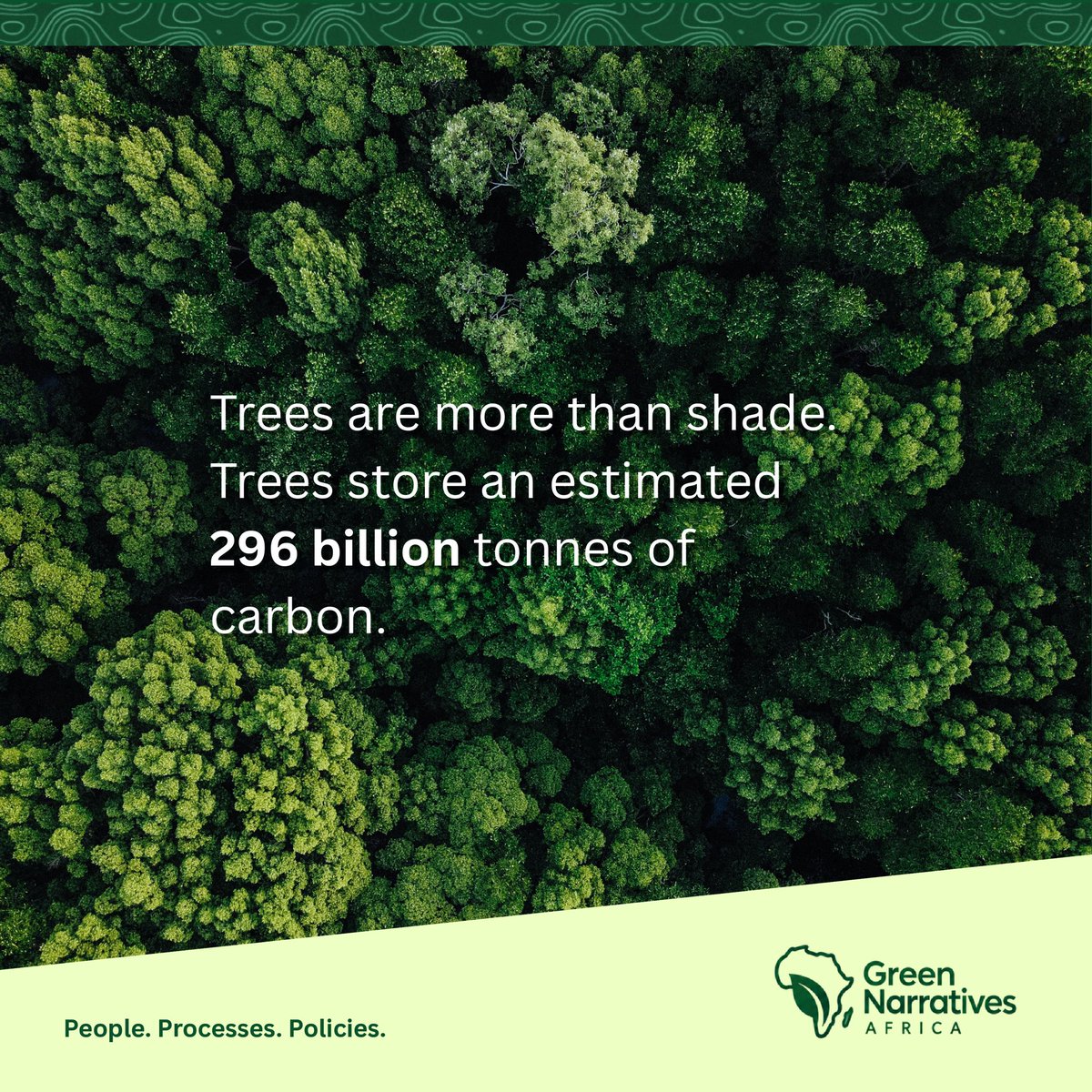 GreeNarratives's tweet photo. The world is still losing about 10 million hectares of forest every year. Let’s allow nature to work. Plant. Protect. Restore. 🌱

#TreePlanting #Forests #ClimateAction https://t.co/xeZqn4jfV8