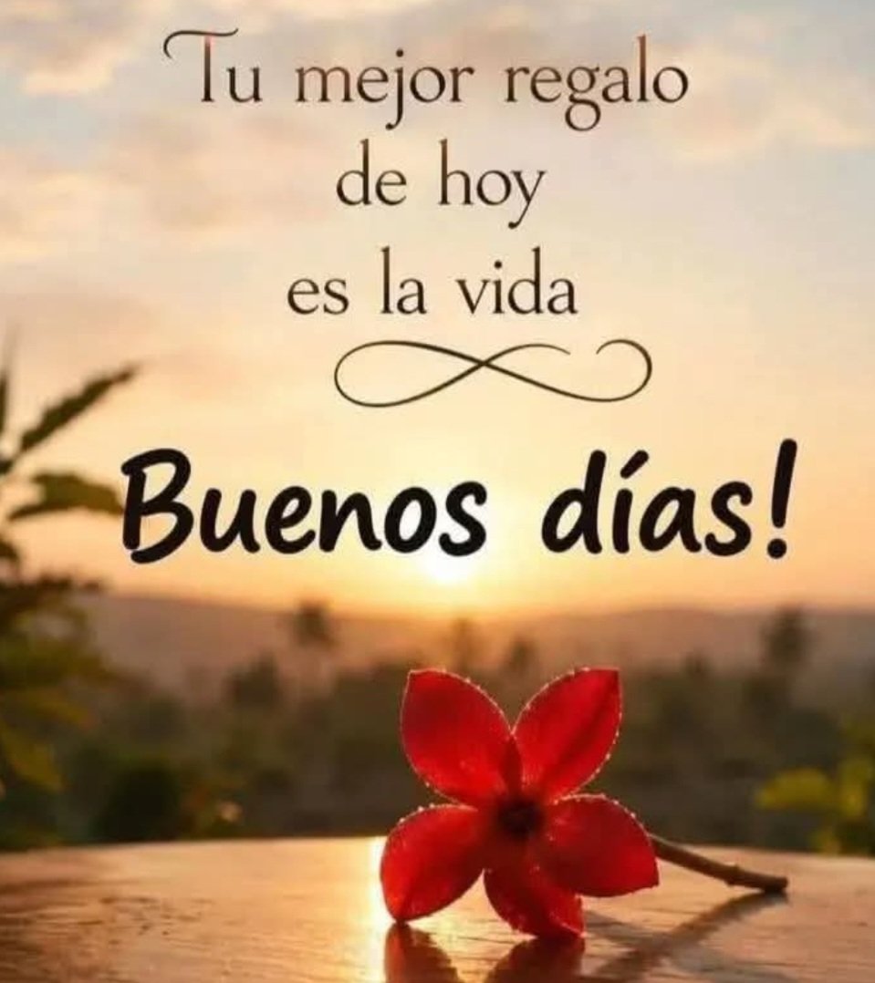 Wapefar's tweet photo. @SilvinaBambina https://t.co/xyyIoO8vHh