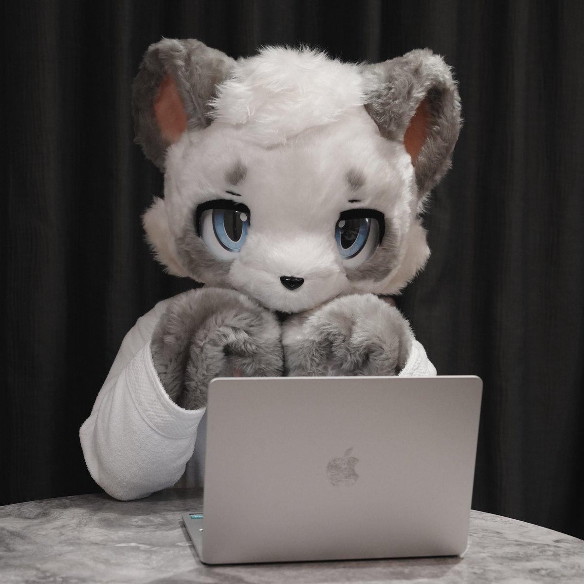 Charles_li_qwq's tweet photo. 加班太累的话，可以摸摸我喔🐼
#fursuits #FursuitsFriday #Fursuiteverday #furry #panda https://t.co/VjO337qqwk
