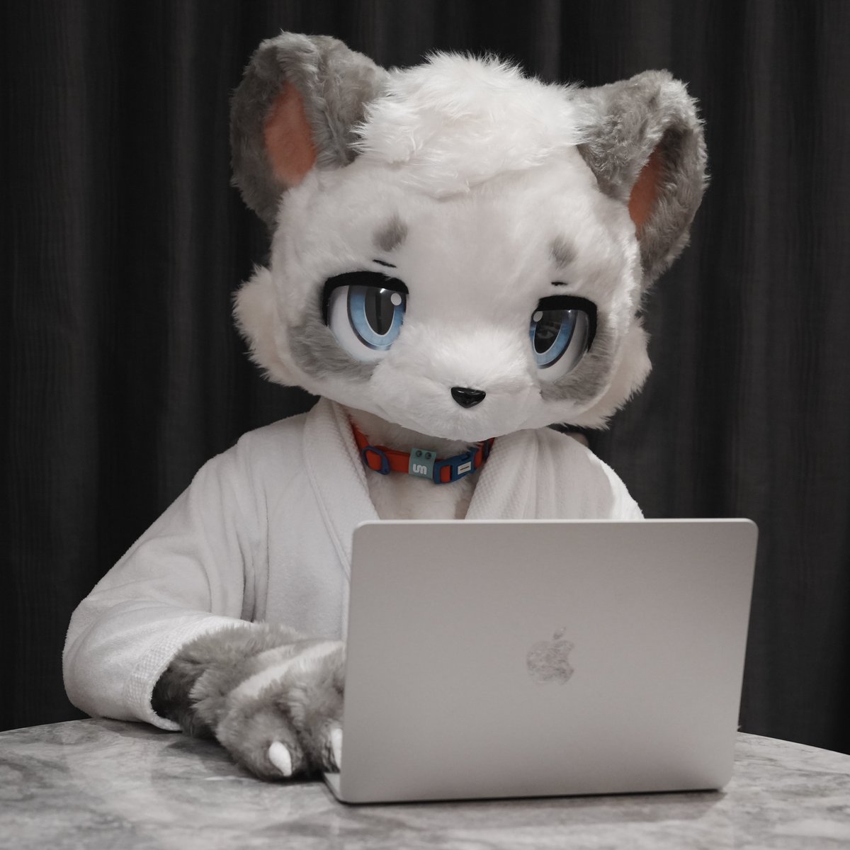 Charles_li_qwq's tweet photo. 加班太累的话，可以摸摸我喔🐼
#fursuits #FursuitsFriday #Fursuiteverday #furry #panda https://t.co/VjO337qqwk