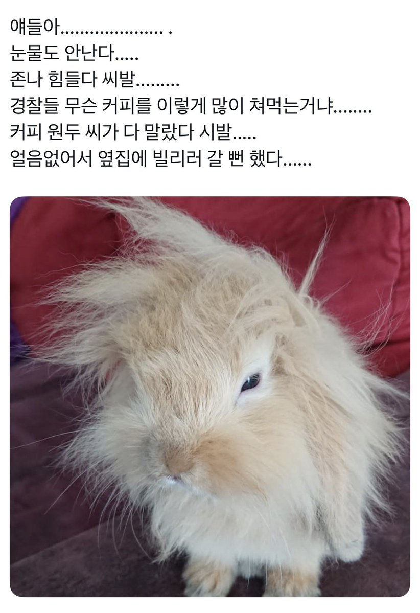 go_pan_gg's tweet photo. 트친의 트친 대퀴구역에서 일하시는데
허락받고 트윗훔쳐옴 https://t.co/W9GWsH3rEW