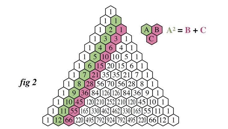 sonukg4india's tweet photo. The figure of mathematics https://t.co/ZP2XMYcALp