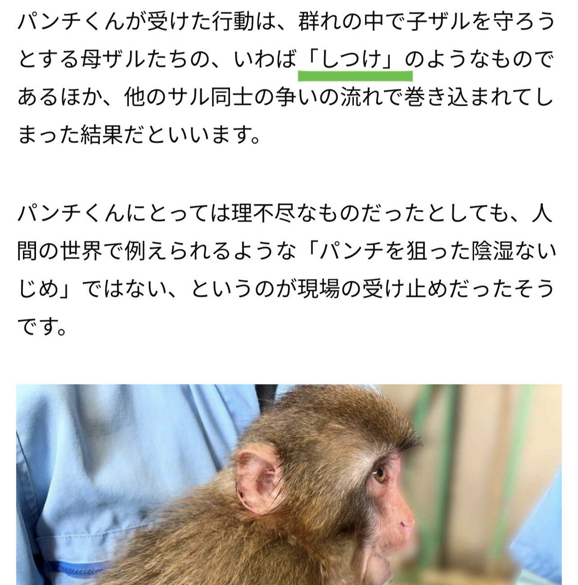 mph0729's tweet photo. @n3fzzp @emogram_sankei いえ、工事に関してじゃなくて延期に関して触れましたね。
最新の記事に躾のようなものと書いてありました。
ニホンザルの生態を学ぶ学ばないは、見ず知らずの方から「学んだら？」と言われても困惑します。私がしたかったらするし、したくなかったらしないです。 https://t.co/ZcQNscBNFZ