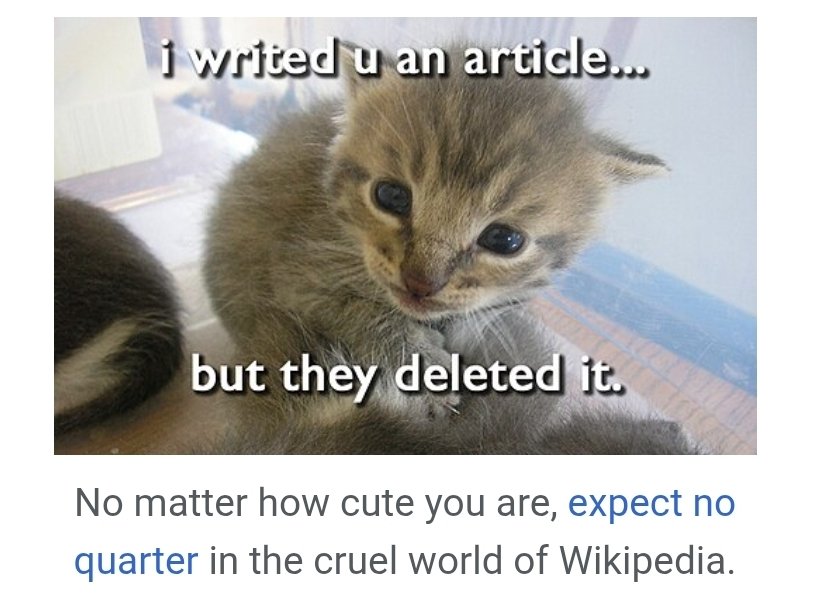 huskpupz's tweet photo. studying the Depths of wikipedia https://t.co/bi9bBIdQnC