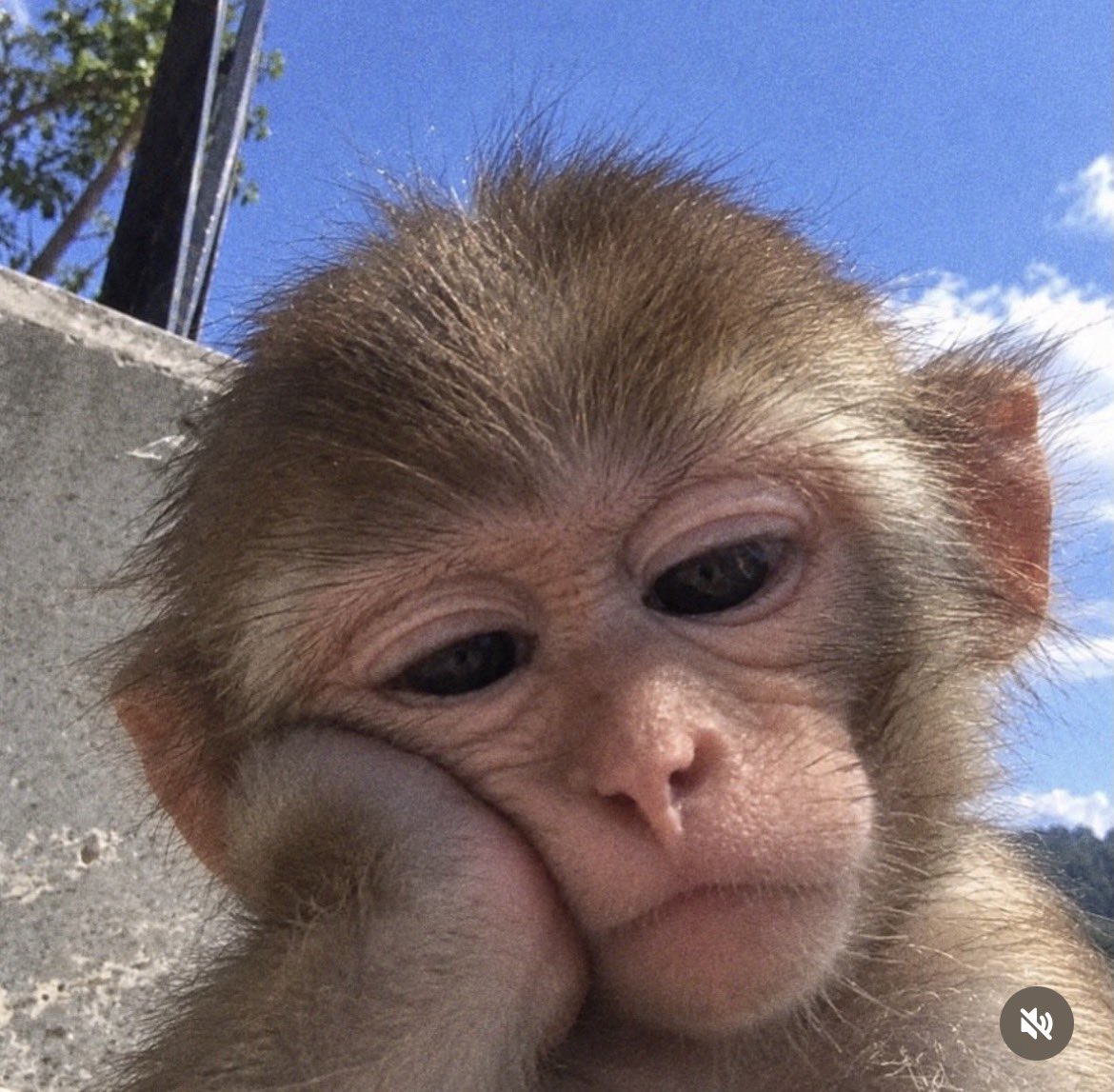 boitymoreosele's tweet photo. Every weekend, I’m indoors and watching Netflix shows? This thing of behaving like a grandma in my 20’s needs to stop.😒✋ https://t.co/5L5lNH0VgX