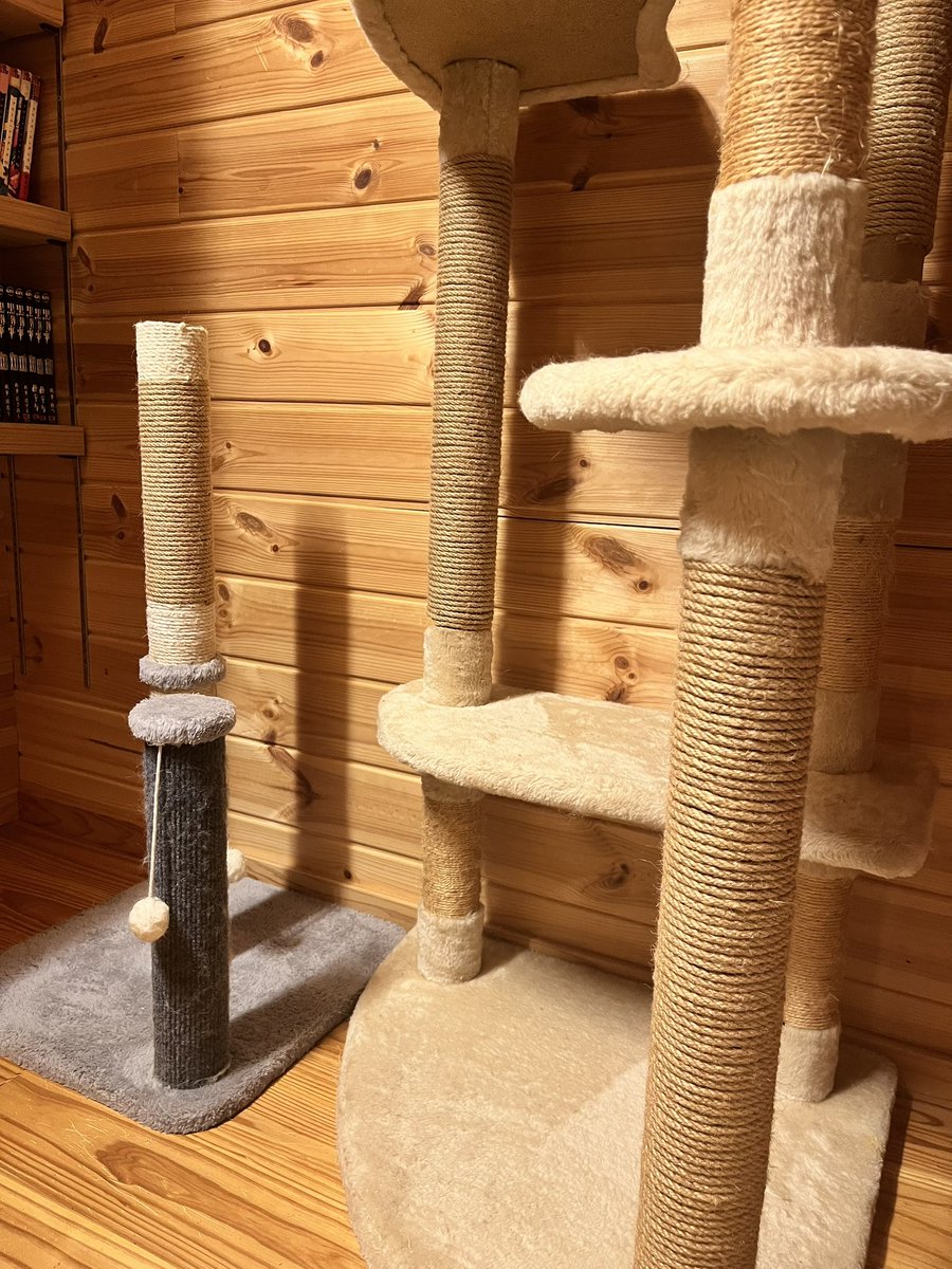 cat_akubi's tweet photo. 年季入ってボロボロになったキャットタワー、買い替えを考えたけどあおちゃん親子が来た時に買ったやつだし捨てたくないな…
って事で爪研ぎの紐を巻き直した👍

めちゃくちゃ面倒だったけど、まだ使えそうで嬉しい☺️ https://t.co/VDxwl2lT9z